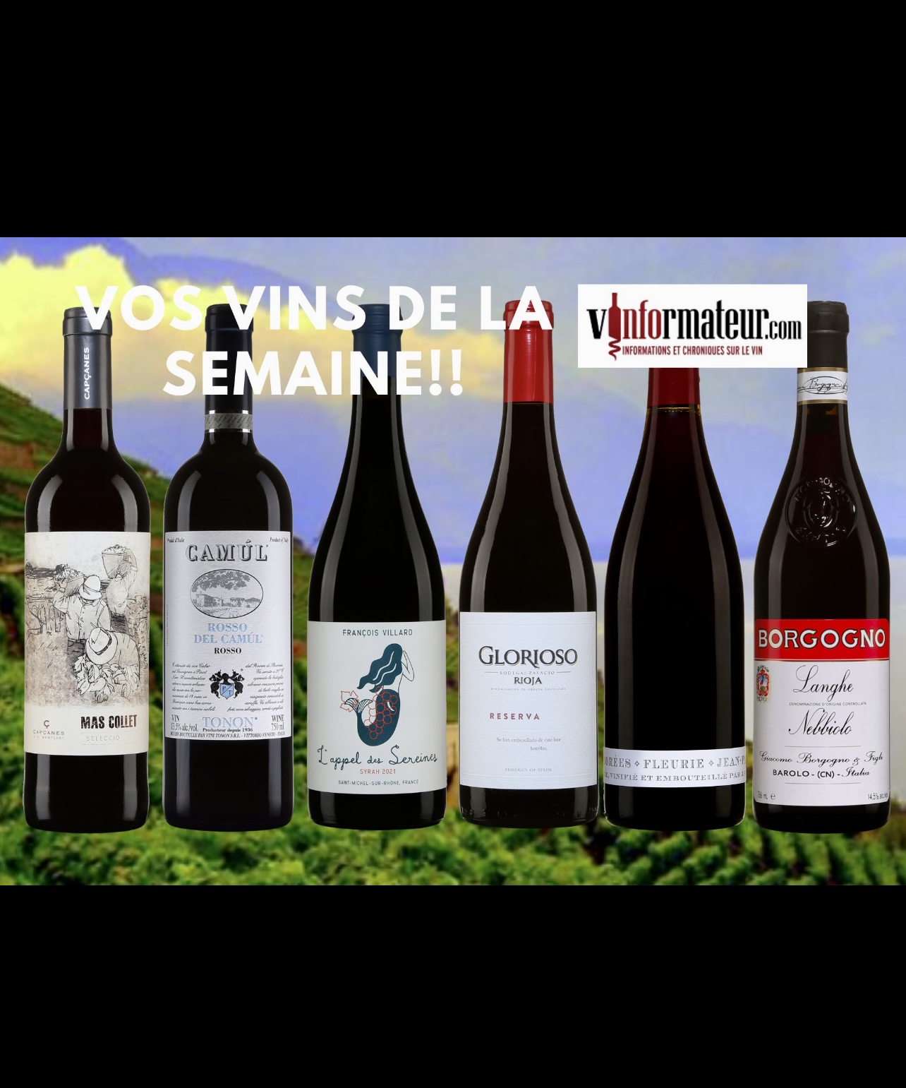Un groupe de bouteilles portant la mention « vins semaine du 14 novembre 2023 ».