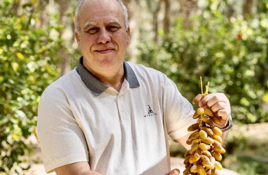 Un homme tenant une tas de dates dans ses mains, les meilleures dattes du monde !