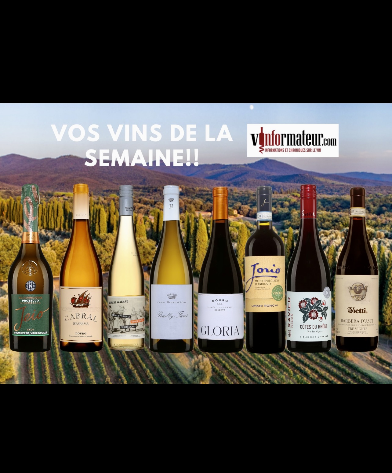 Un groupe de bouteilles affichant la mention « vos vins de la semaine » pour la semaine du 20 novembre 2023.