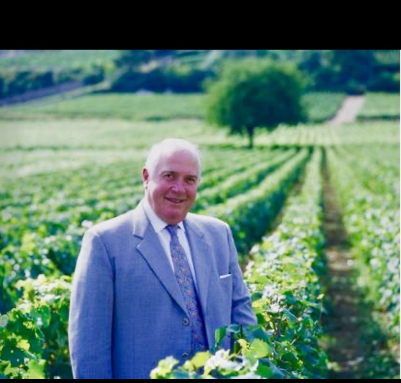 Un homme en costume debout dans un vignoble de Deux excellents Côtes-du-Rhône.