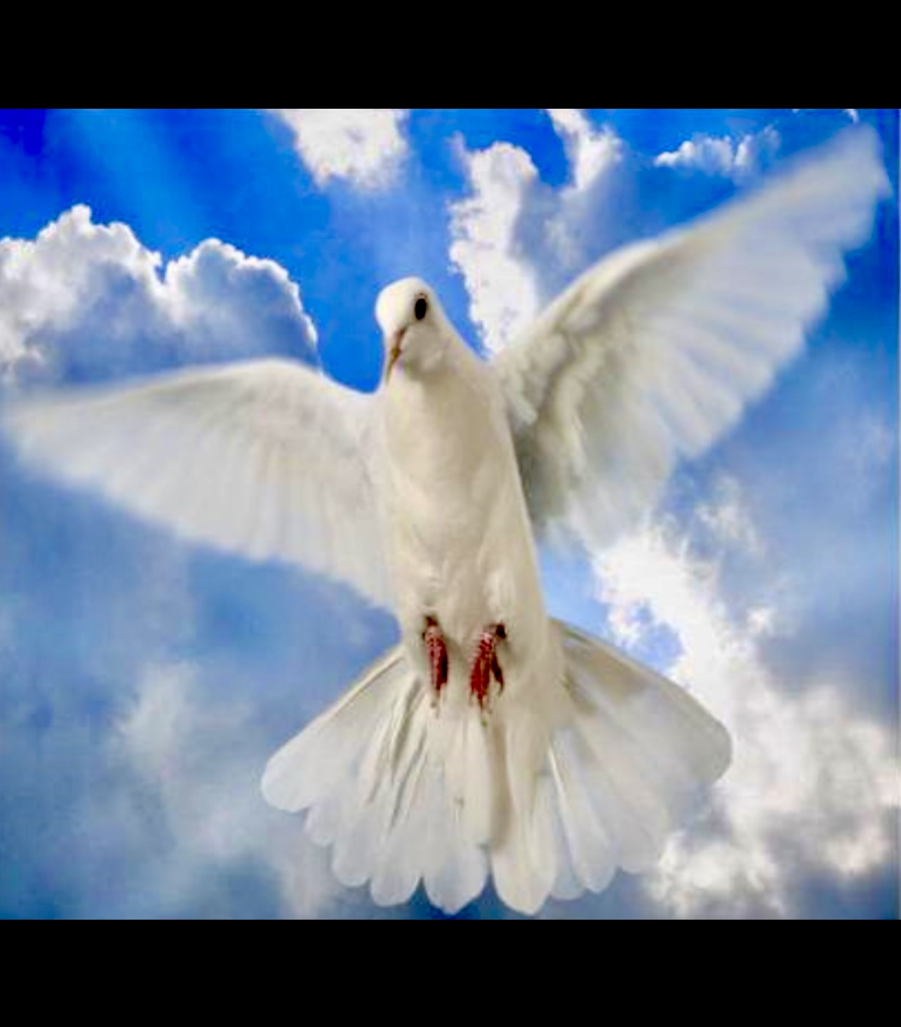 Une colombe blanche spirituelle s’élève gracieusement dans le ciel au milieu de nuages duveteux.