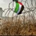 Apartheid en Palestine