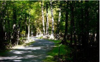 Un sentier dans le parc Michel-Chartrand à Longueuil.