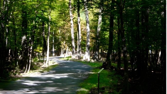 Un sentier dans le parc Michel-Chartrand à Longueuil.