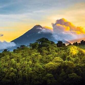 Le volcan Arenal au Costa Rica, majestueux au lever du jour, domine la luxuriante forêt tropicale qui l'entoure. Un symbole de la puissance naturelle et de la biodiversité exceptionnelle du pays.