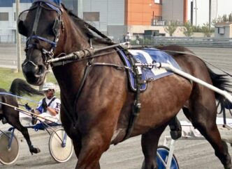 L'Hippodrome de Trois-Rivières, du plaisir assuré. Crédit photos @Alain Clavet