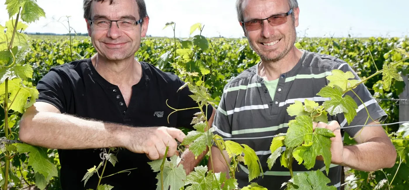 Pascal et Alain LORIEUX dans le vignoble.