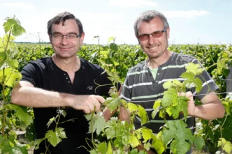 Pascal et Alain LORIEUX dans le vignoble.